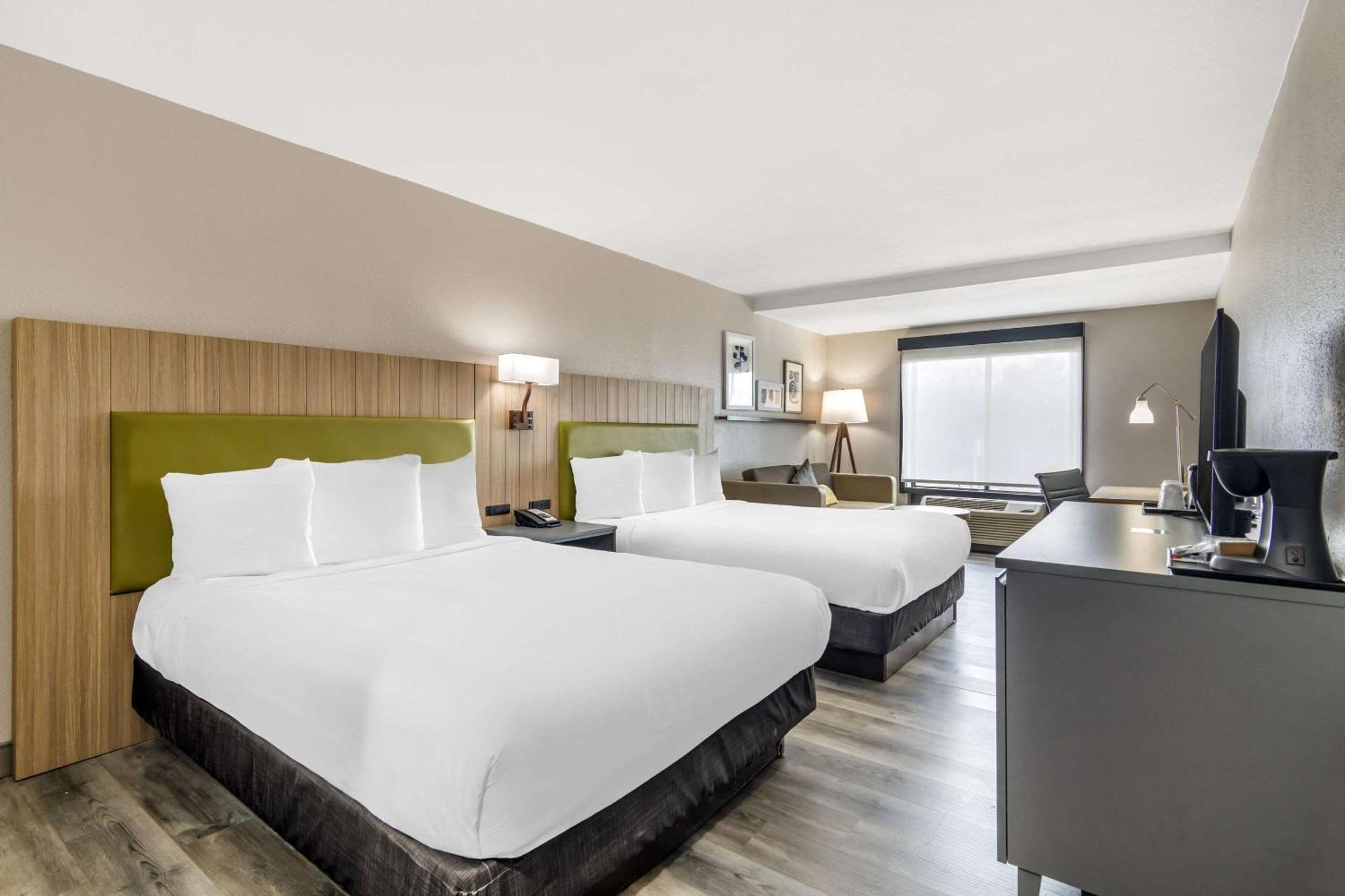 Studio Queen Suite 2 Queen Beds