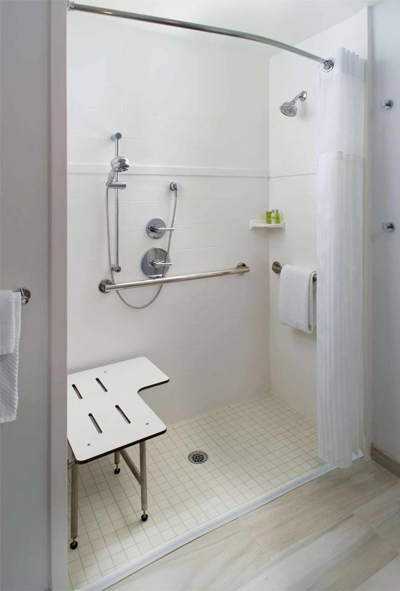 King Room Roll Shower Mobility or Hearing Accessible