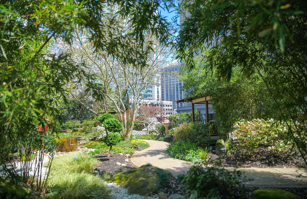 Grand Hyatt Atlanta In Buckhead-1