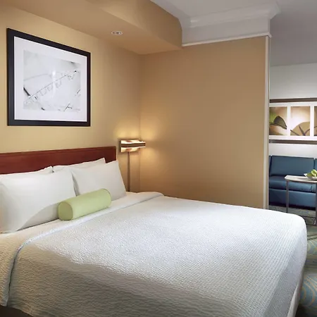Springhill Suites By Marriott Atlanta Buckhead-2